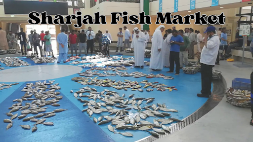 sharjah fish market