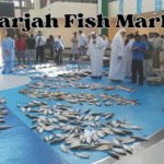 sharjah fish market