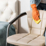 Upholstery Cleaning