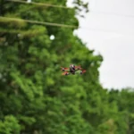 FPV Control to AI