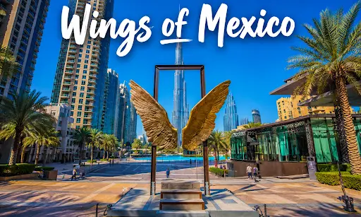 wings of mexico