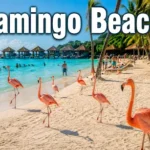Flamingo Beach